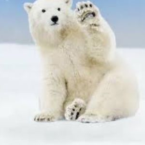 Meet your Posher, Kai